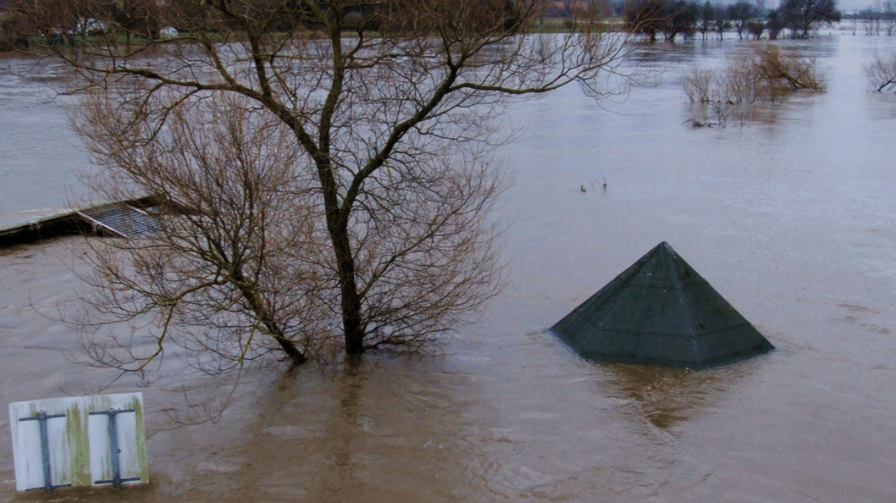 1730392709_banner-web-ejemplo-51