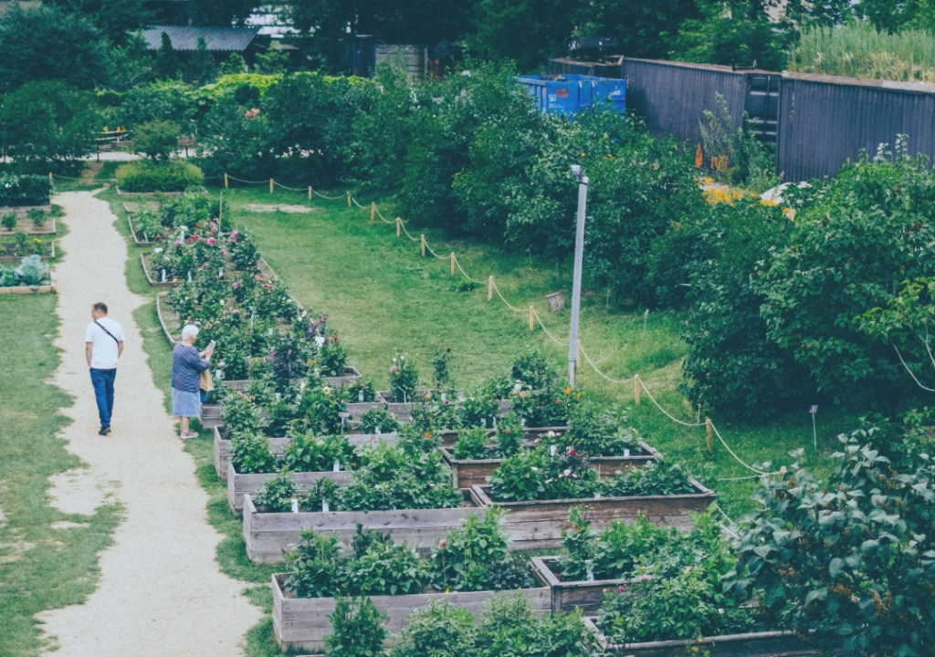 NUESTROS PRINCIPIOS - APARTADO ENFOQUE TERRITORIAL