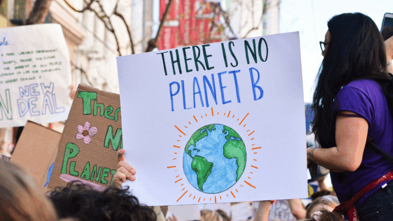 Diseño sin título (15)